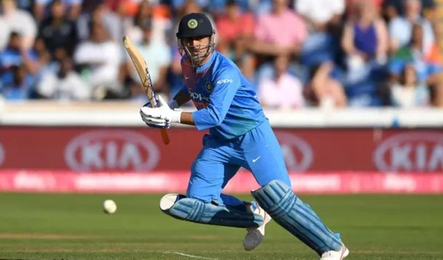 Top 10 Most Expensive Cricket Bats in the World 6 Most Expensive Cricket Bats