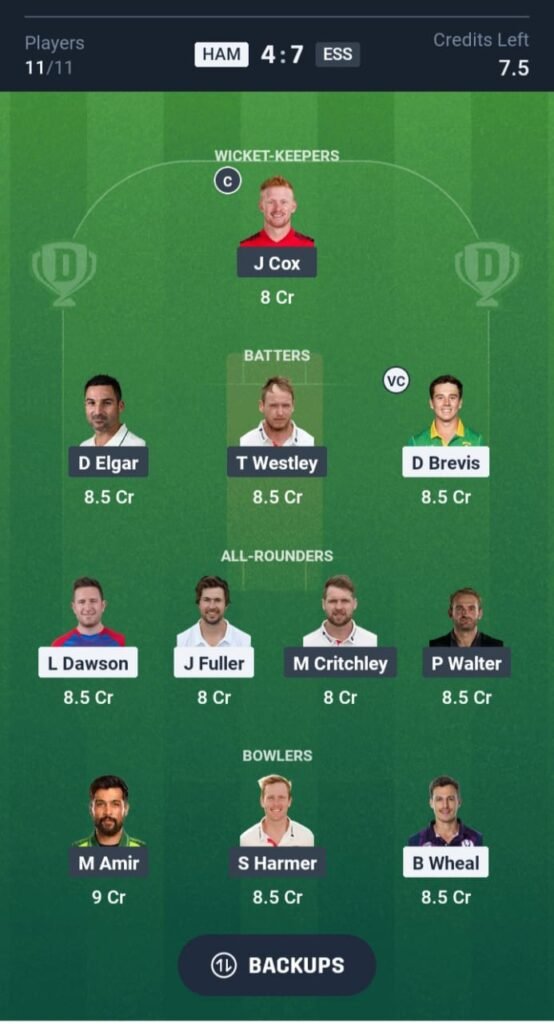 HAM vs ESS Today’s Dream11 Fantasy Team: 4th T20 Match & Pitch Report 3 The HAM vs ESS Today’s Dream11 Fantasy Team, 4th T20 Match