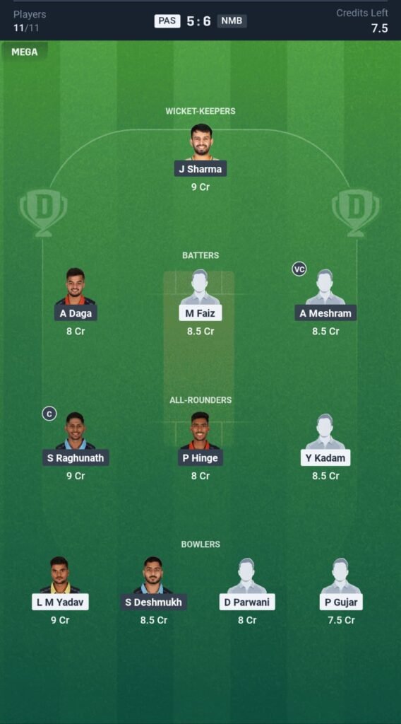 PAS vs NMB Today's Dream11 Fantasy Team: Final T20 Match & Promising Pitch Report 3 PAS vs NMB Today's Dream11 Fantasy Team
