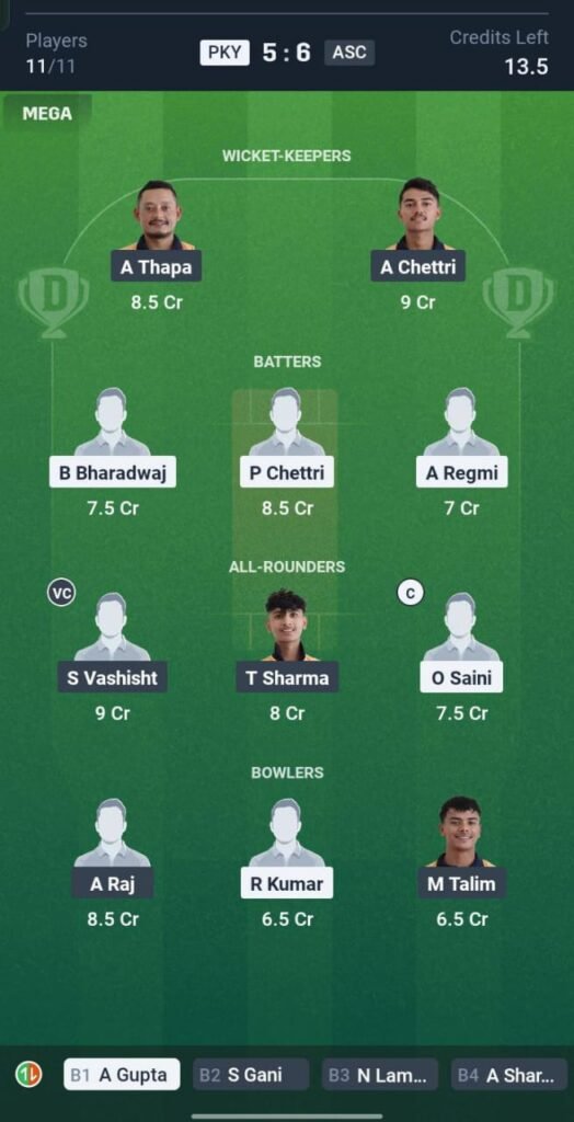 PKY vs ASC Today's Dream11 Fantasy Team: 13th T20 Match & Promising Pitch Report