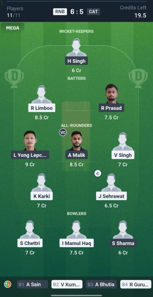 RNB vs CAT Today's Dream11 Fantasy Team: 14th T20 Match & Promising Pitch Report