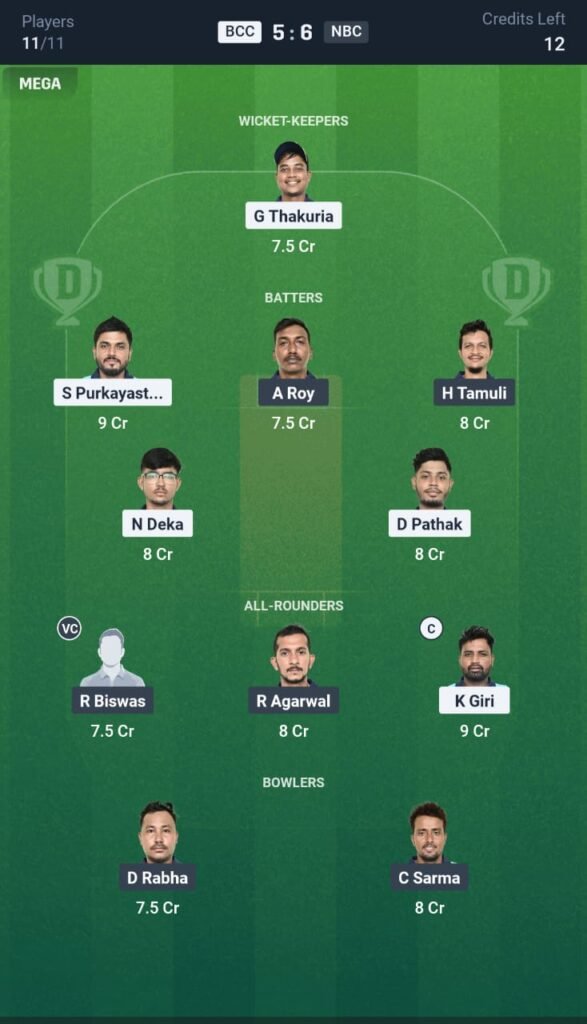 BCC vs NBC Today's Dream11 Fantasy Team: 9th T20 Match & Promising Pitch Report