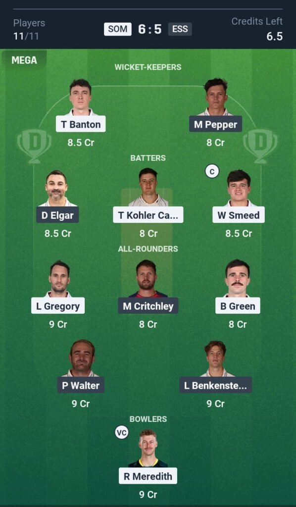 SOM vs ESS Today's Dream11 Fantasy Team: 89th T20 Match & Promising Pitch Report 3 SOM vs ESS Today's Dream11 Fantasy Team: 89th T20 2025