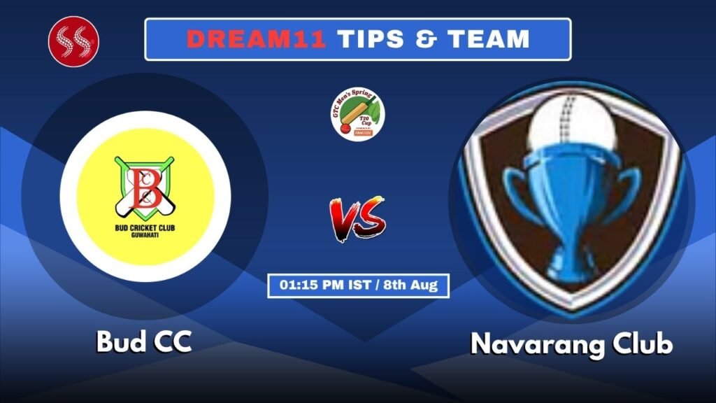 BCC vs NVR Today's Dream11 Fantasy Team: 24th T20 Match & Promising Pitch Report