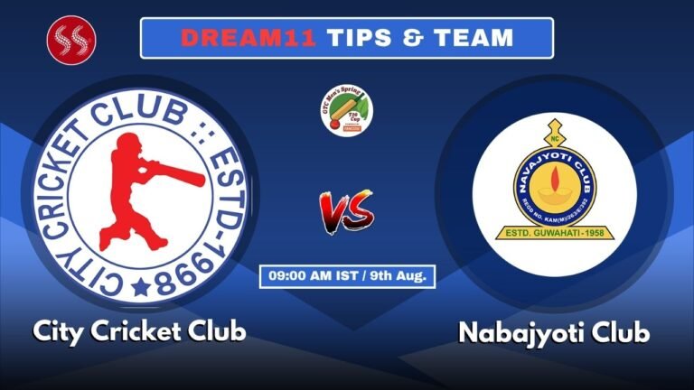 CCC vs NBC Today's Dream11 Fantasy Team: 25th T20 Match & Promising Pitch Report