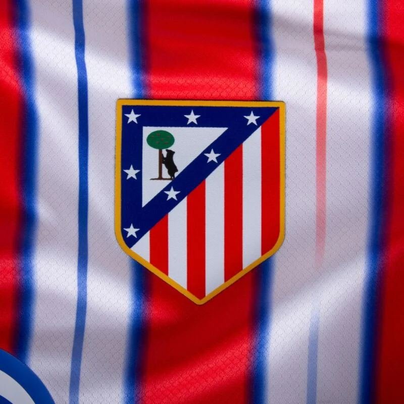 Football Clubs with the Most Expensive Squads