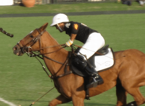 Top 10 Polo Players : Fierce Polo Players of All Time 10 Top 10 Polo Players : Fierce Polo Players of All Time