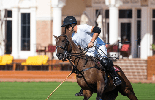 Top 10 Polo Rules : Facts You Didn't Know About the Rules of Polo 10 Top 10 Polo Rules : Facts You Didn't Know About the Rules of Polo