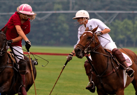 Top 10 Polo Rules : Facts You Didn't Know About the Rules of Polo 12 Top 10 Polo Rules : Facts You Didn't Know About the Rules of Polo