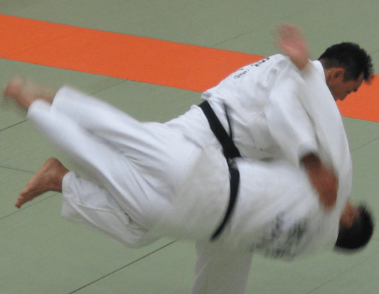 Top 10 Judo Throws You Need to Master