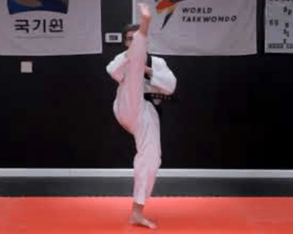 Top 10 Taekwondo Breaking Techniques for Power 9 Top 10 Taekwondo Breaking Techniques for Power