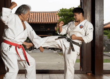 Top 10 Karate Facts : Greatest Historical Facts About the Origins of Karate 9 Top 10 Karate Facts : Greatest Historical Facts About the Origins of Karate
