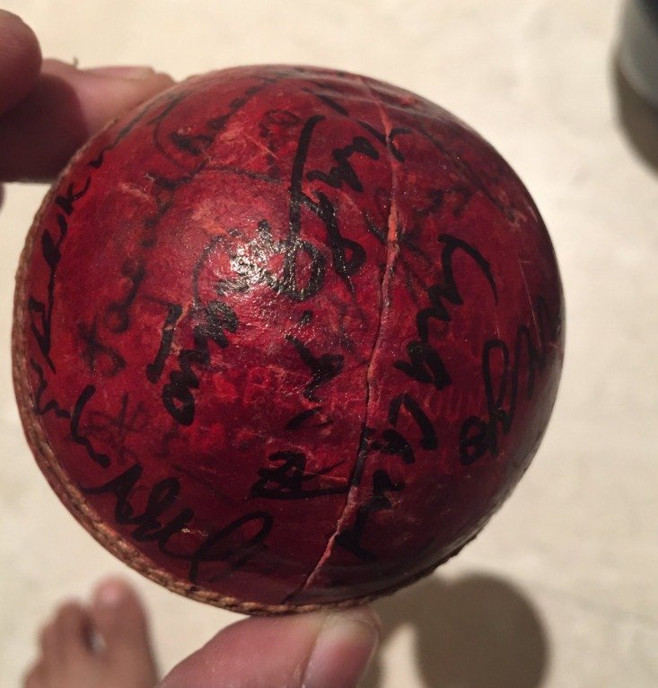 Top 10 Most Expensive Cricket Balls