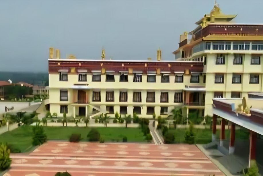 Top 10 Elite Cricket Training Institutes in India Powering the Next Generation of Superstars