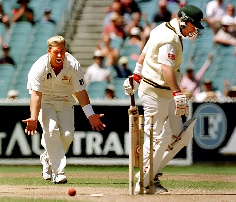 Top 10 Insane Wickets in Cricket History by Sharne Warne